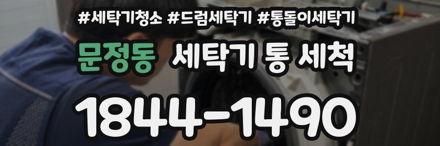 문정동 세탁기 통 세척