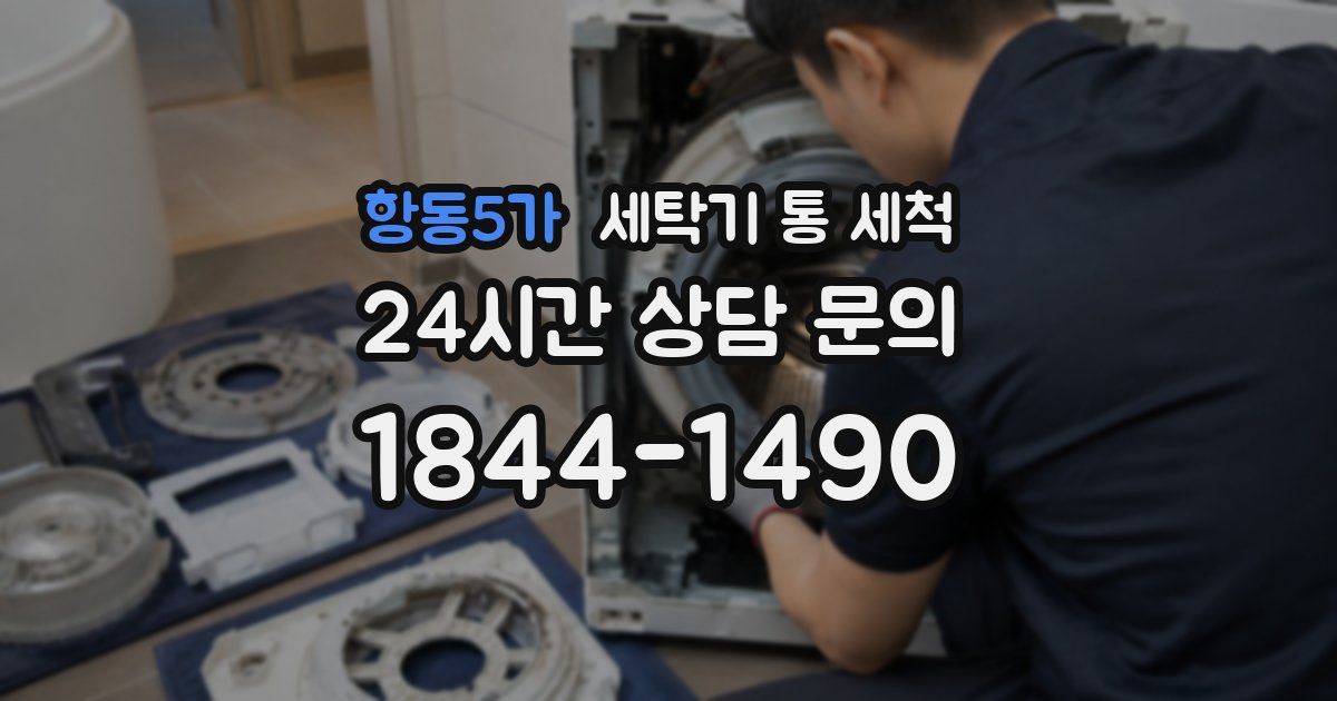 항동5가 세탁기 통 세척