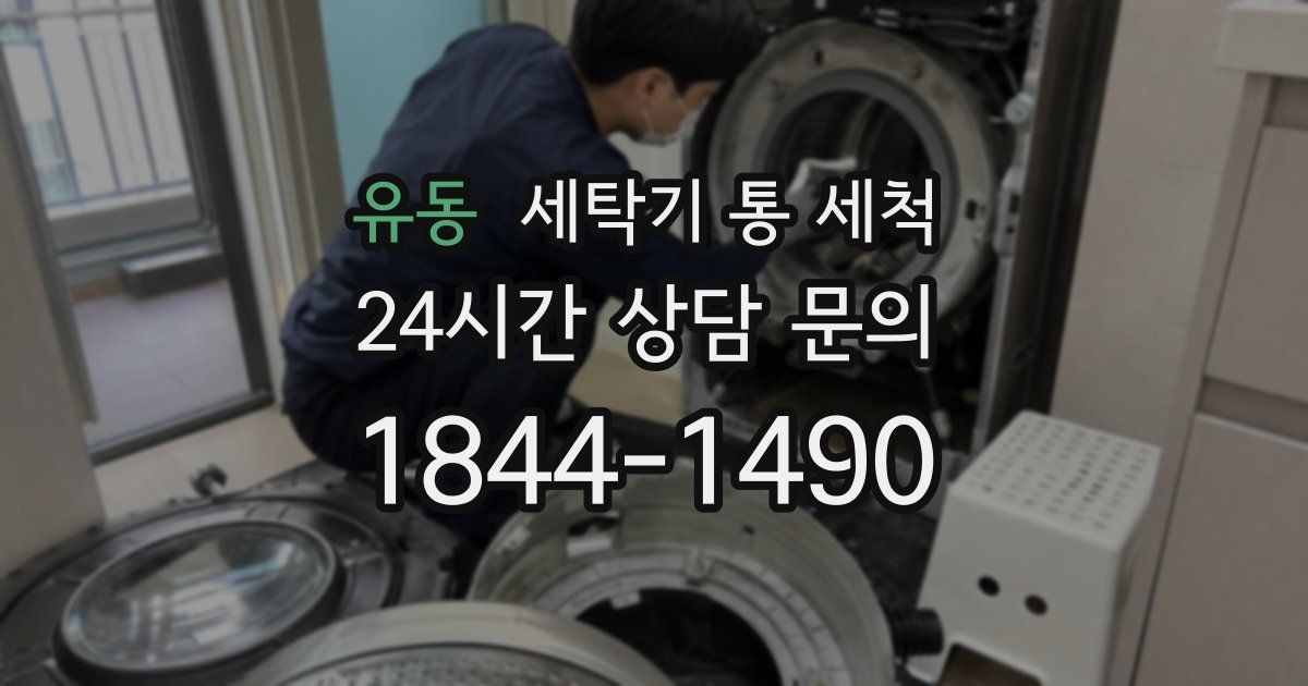 유동 세탁기 통 세척