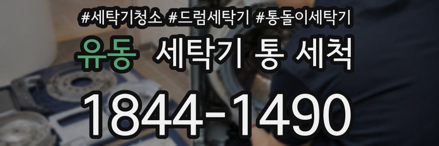 유동 세탁기 통 세척