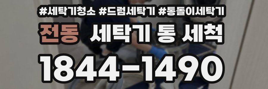 전동 세탁기 통 세척