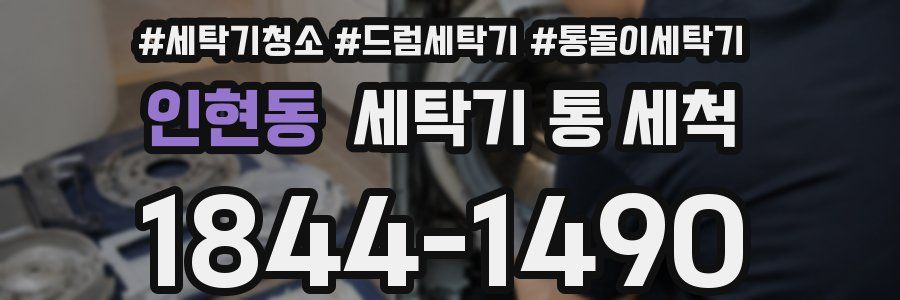 인현동 세탁기 통 세척