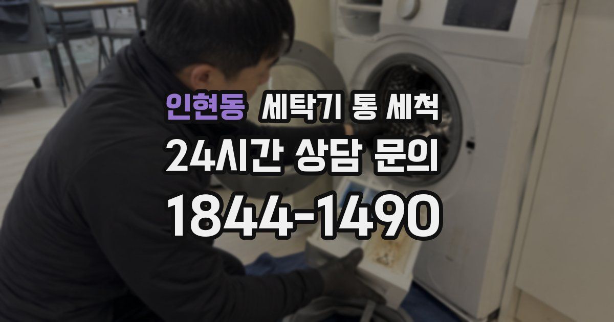 인현동 세탁기 통 세척