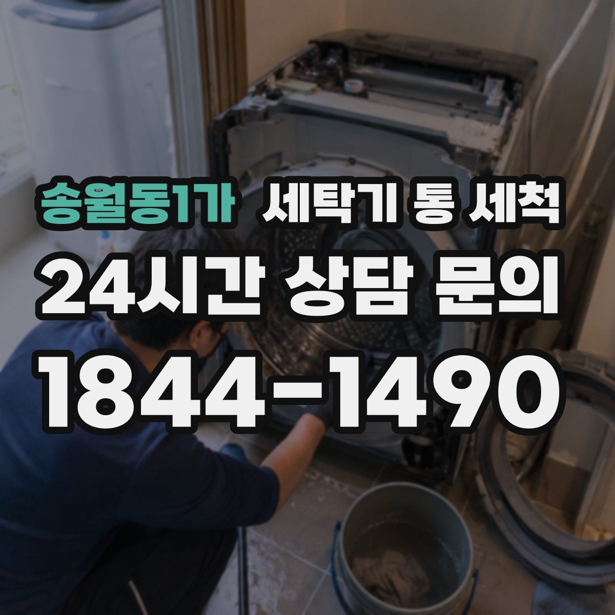 송월동1가 세탁기 통 세척