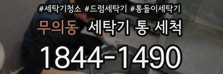 무의동 세탁기 통 세척