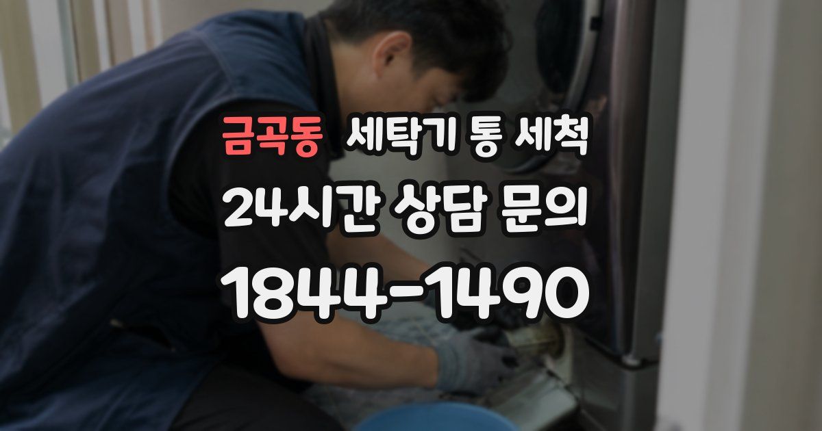금곡동 세탁기 통 세척