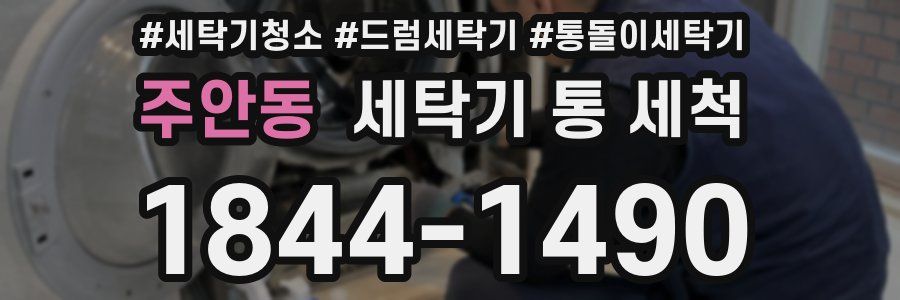 주안동 세탁기 통 세척