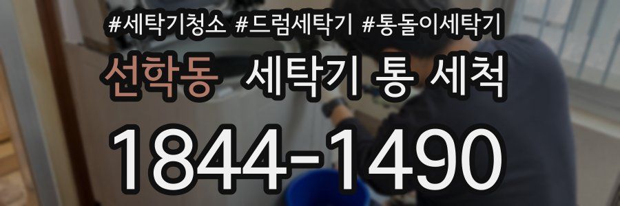 선학동 세탁기 통 세척