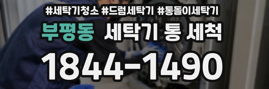 부평동 세탁기 통 세척