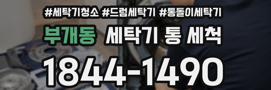 부개동 세탁기 통 세척