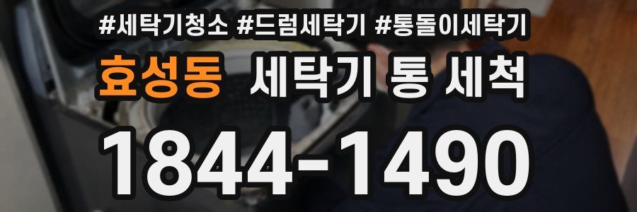 효성동 세탁기 통 세척