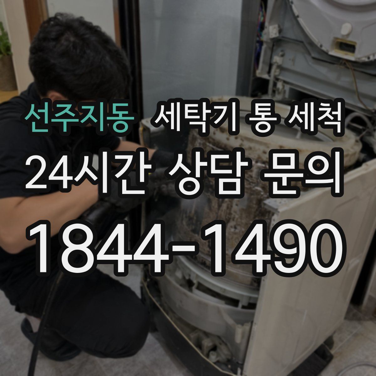 선주지동 세탁기 통 세척