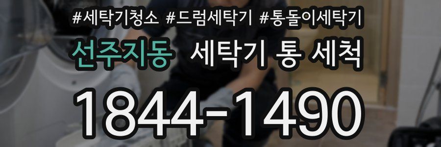 선주지동 세탁기 통 세척