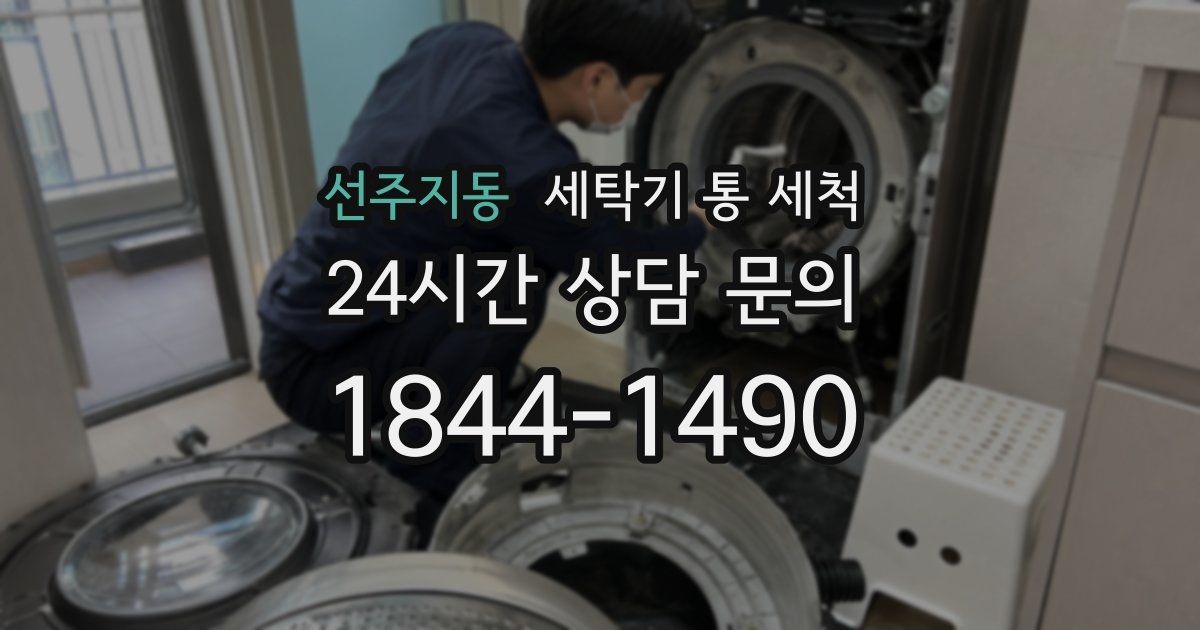 선주지동 세탁기 통 세척