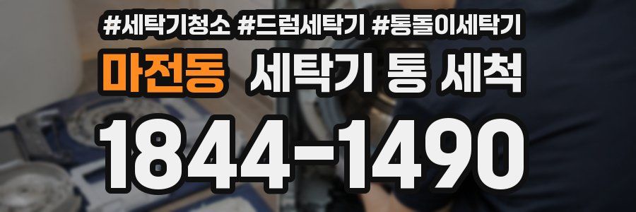 마전동 세탁기 통 세척