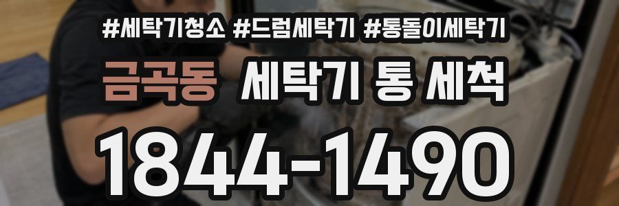 금곡동 세탁기 통 세척