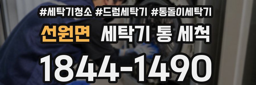 선원면 세탁기 통 세척