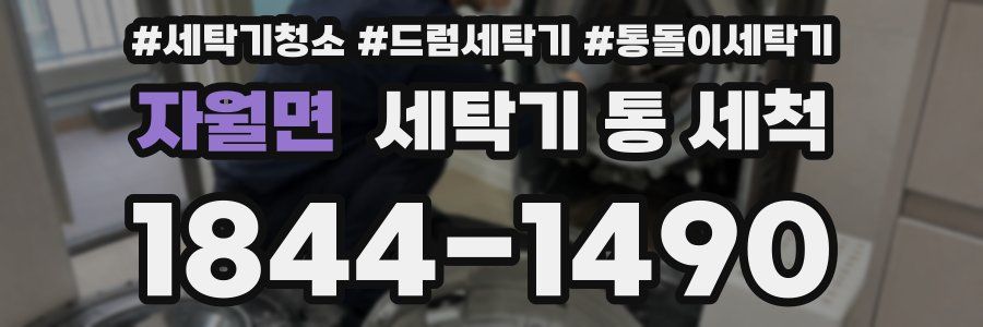 자월면 세탁기 통 세척