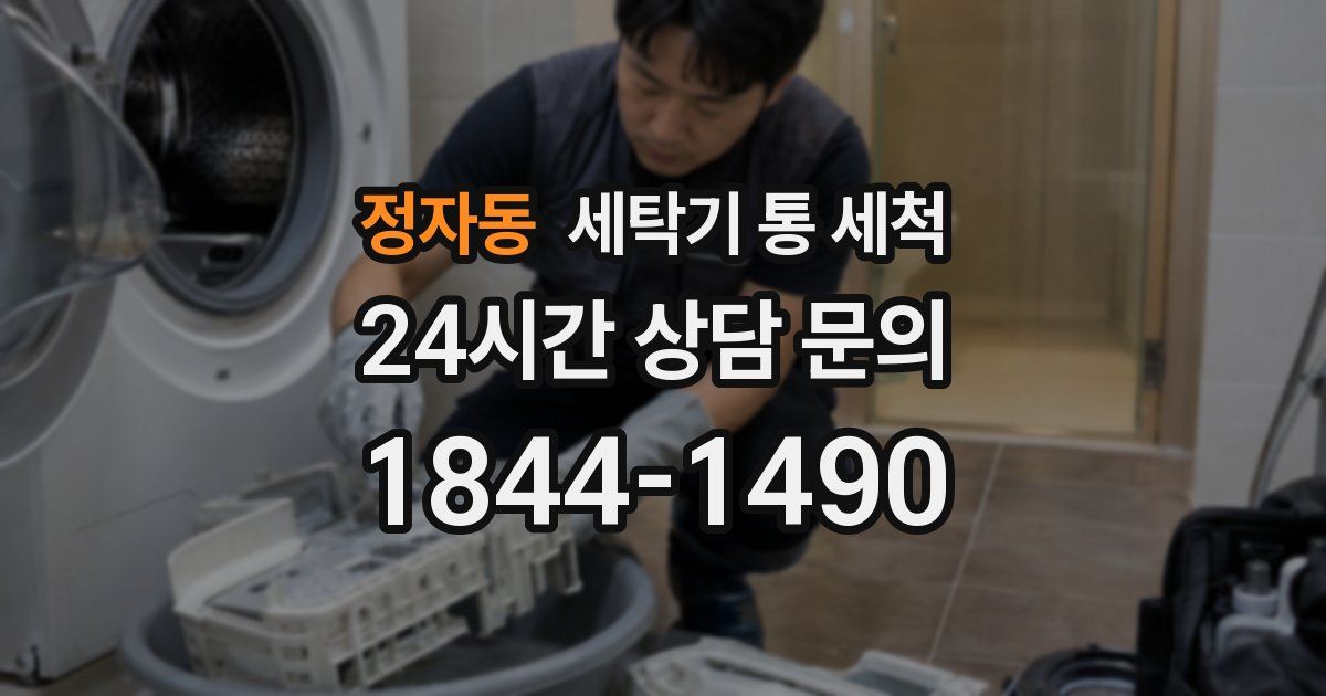 정자동 세탁기 통 세척