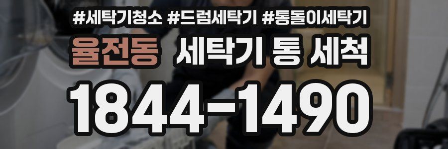 율전동 세탁기 통 세척