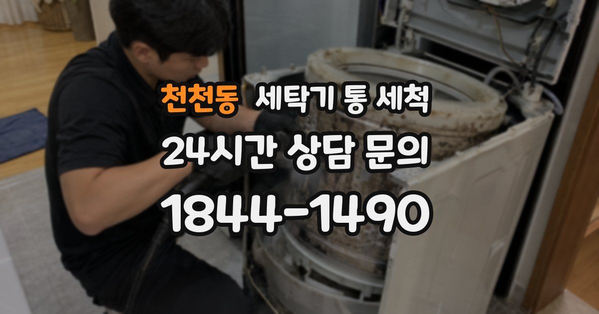 천천동 세탁기 통 세척