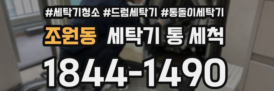조원동 세탁기 통 세척