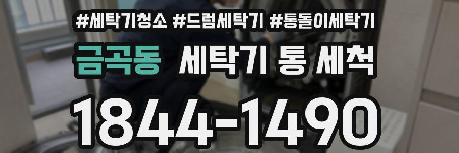 금곡동 세탁기 통 세척