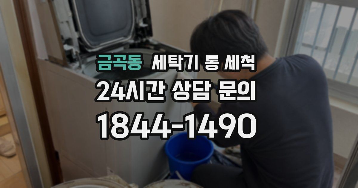 금곡동 세탁기 통 세척