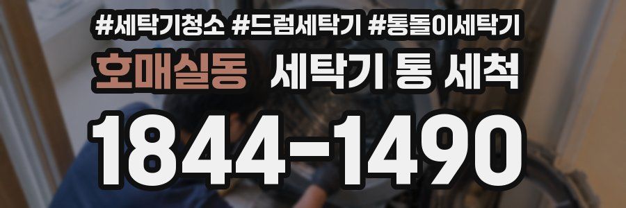호매실동 세탁기 통 세척