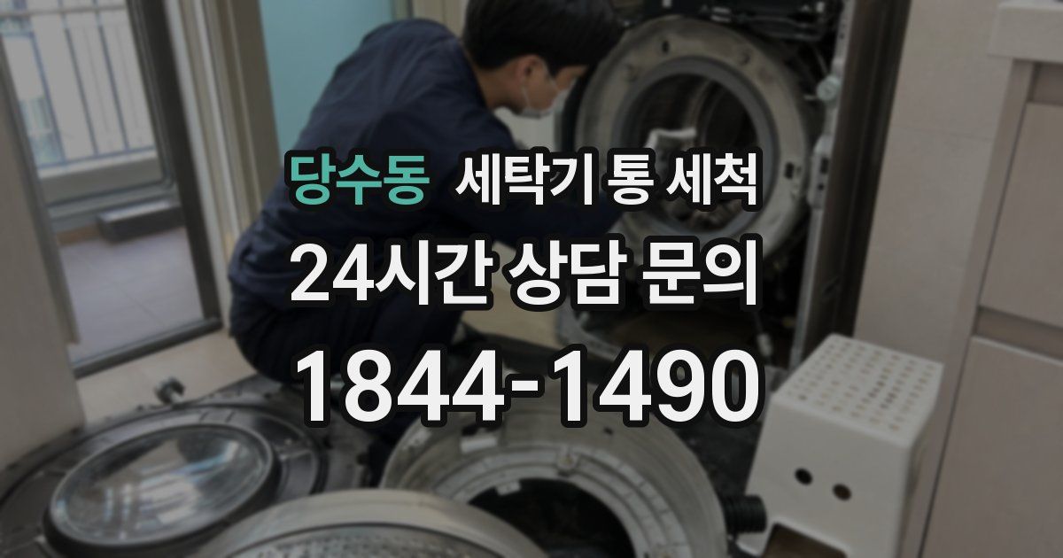 당수동 세탁기 통 세척