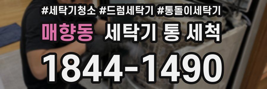 매향동 세탁기 통 세척