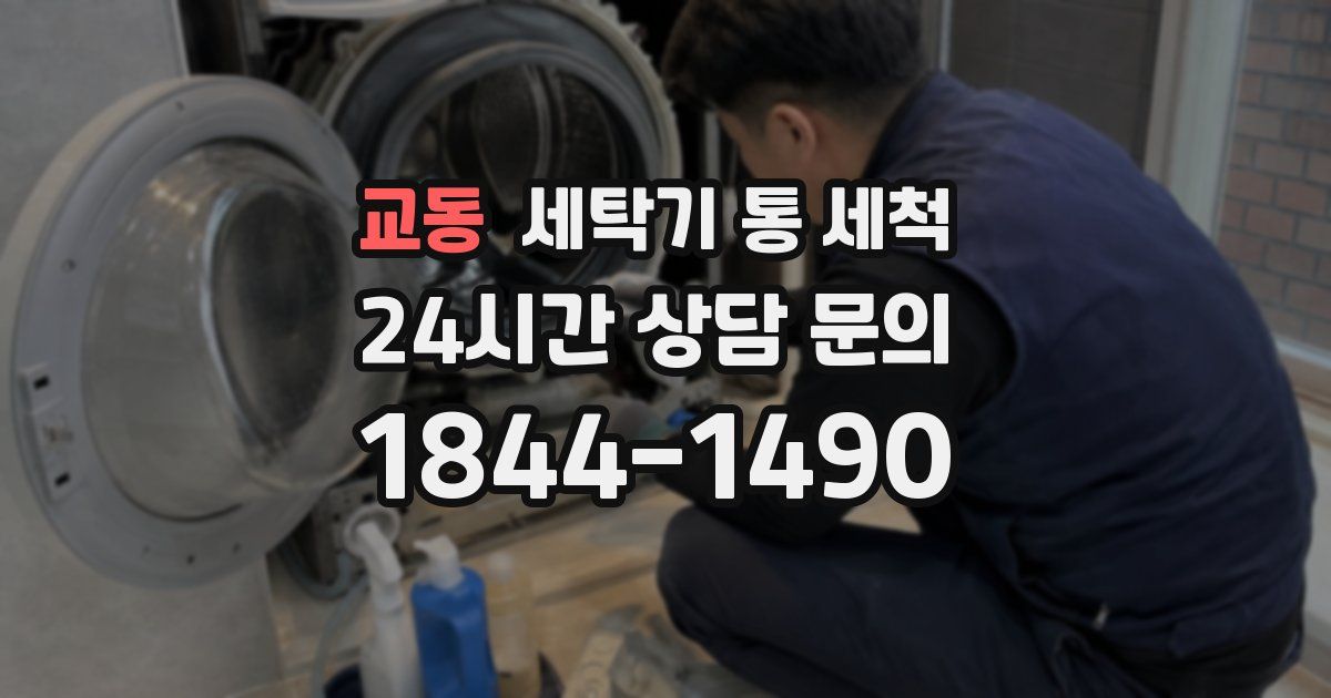 교동 세탁기 통 세척