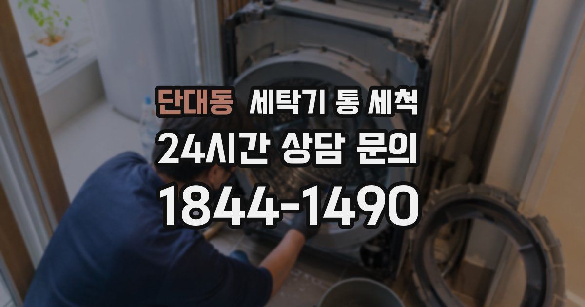 단대동 세탁기 통 세척
