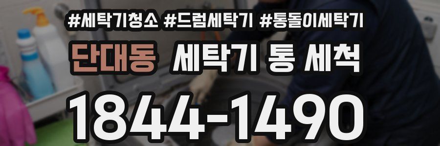 단대동 세탁기 통 세척