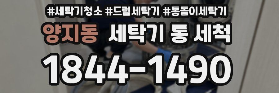 양지동 세탁기 통 세척