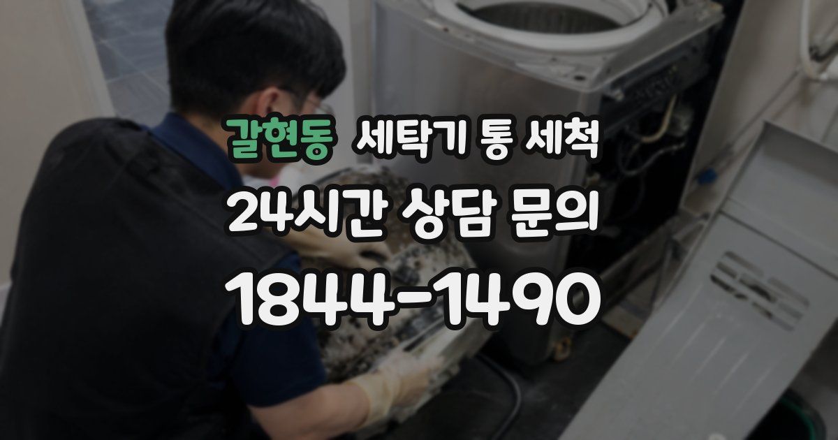 갈현동 세탁기 통 세척