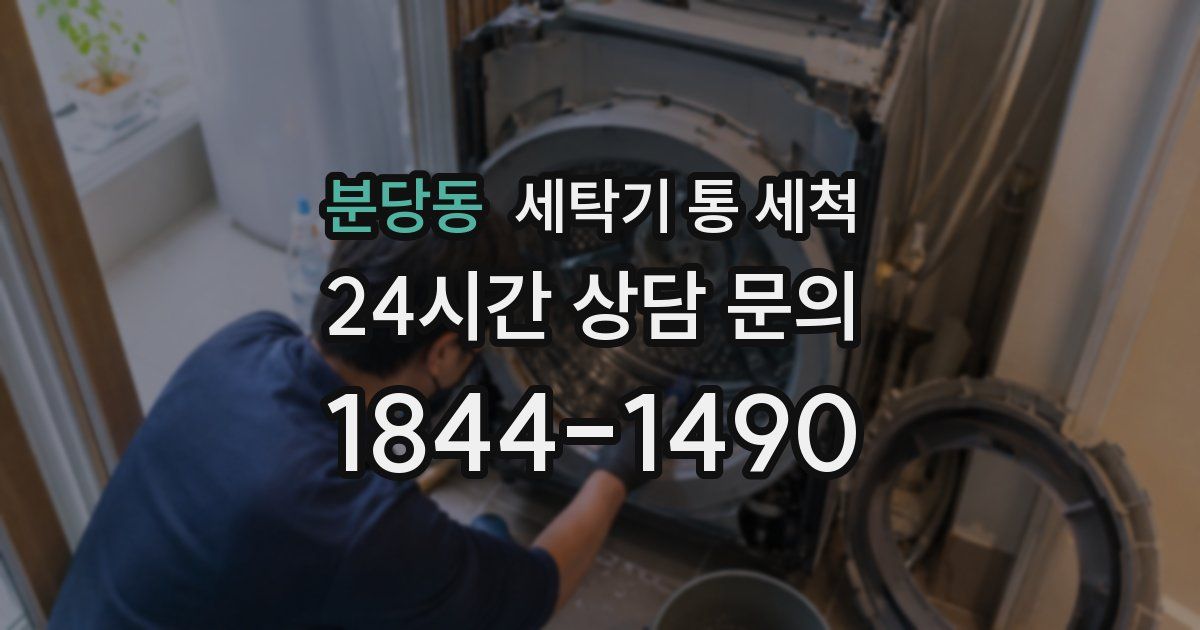 분당동 세탁기 통 세척