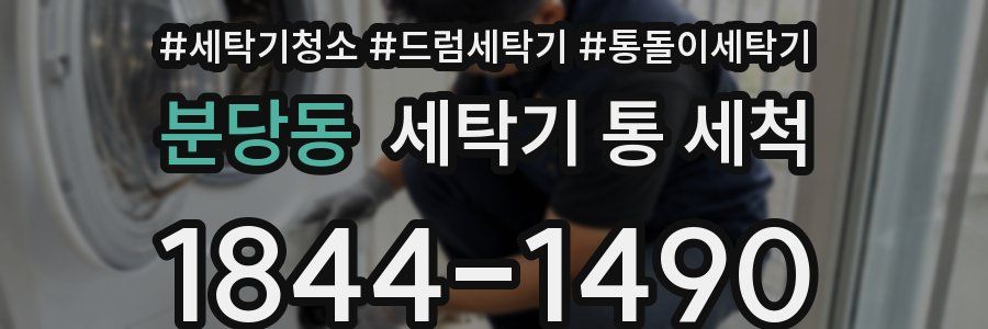 분당동 세탁기 통 세척