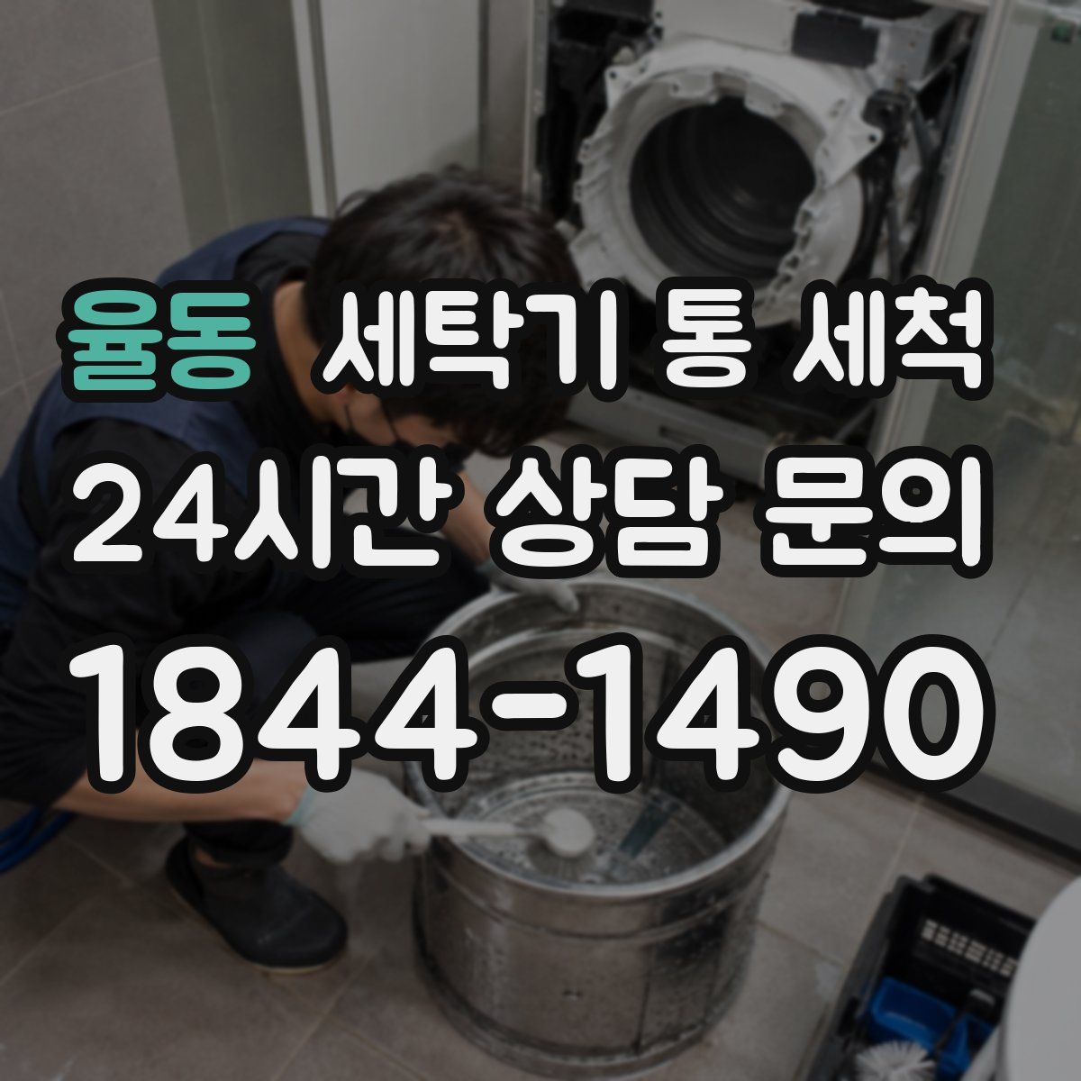 율동 세탁기 통 세척