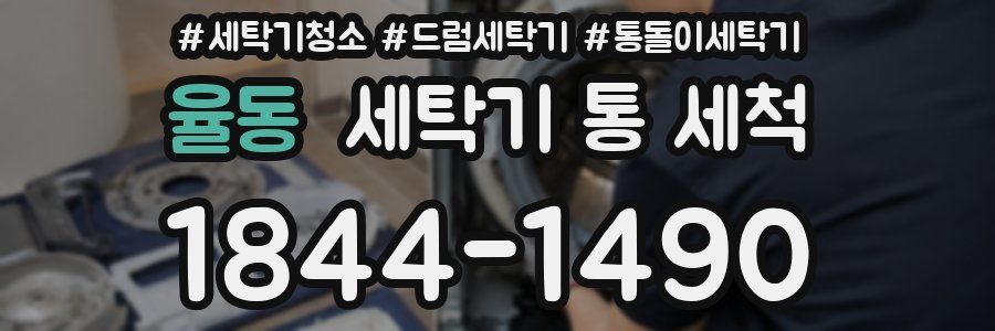 율동 세탁기 통 세척