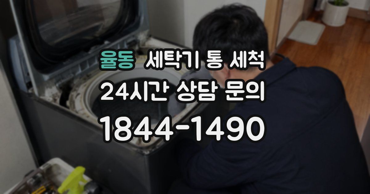 율동 세탁기 통 세척