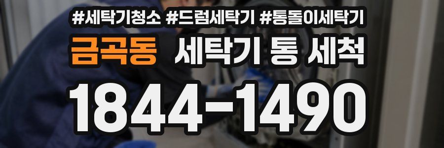 금곡동 세탁기 통 세척