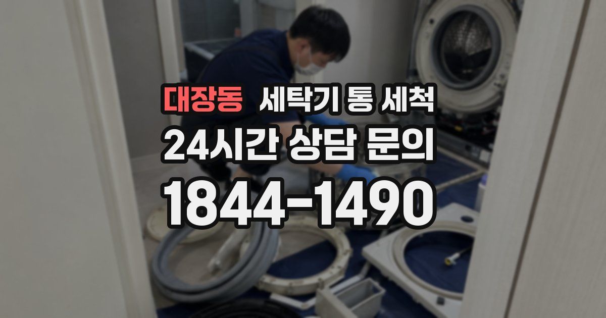 대장동 세탁기 통 세척