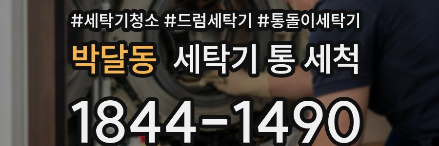 박달동 세탁기 통 세척