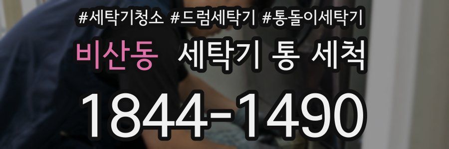 비산동 세탁기 통 세척