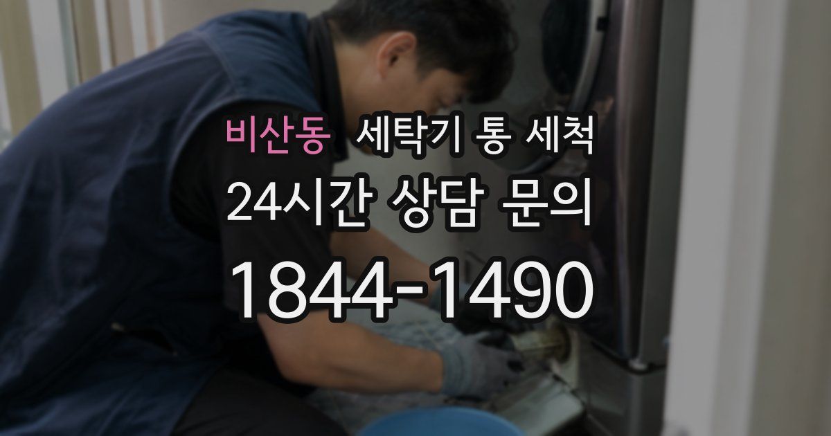 비산동 세탁기 통 세척