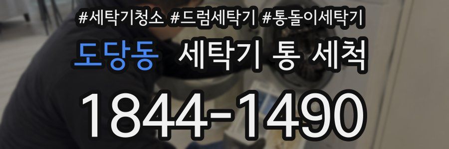 도당동 세탁기 통 세척