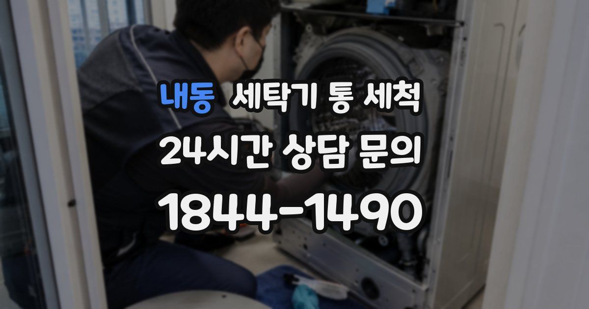 내동 세탁기 통 세척