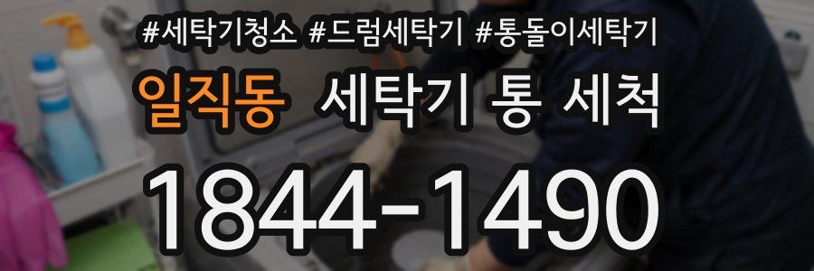 일직동 세탁기 통 세척