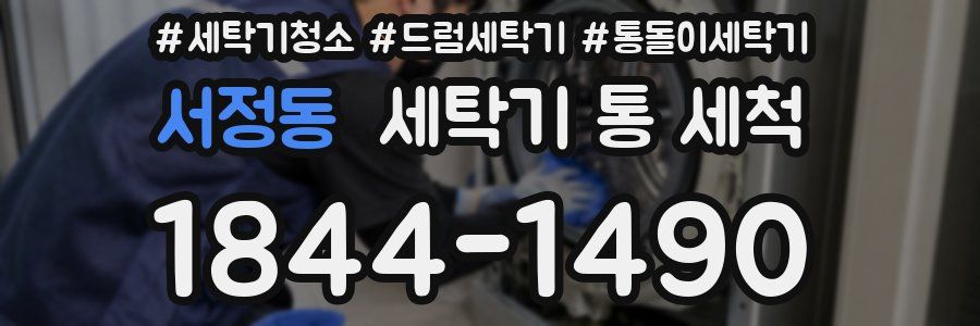 서정동 세탁기 통 세척